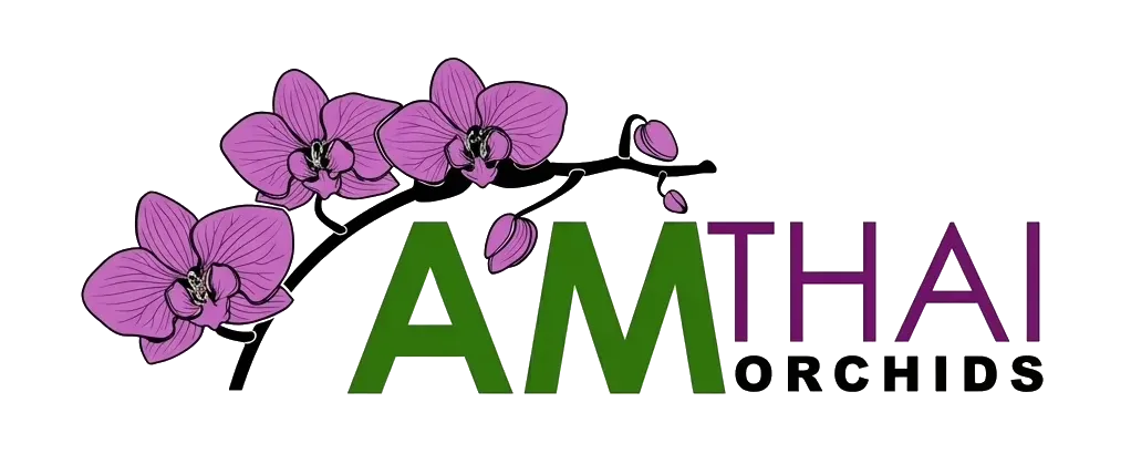 Am Thai Orchids